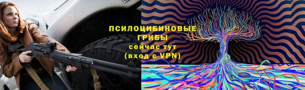 прущие крисы Мегион