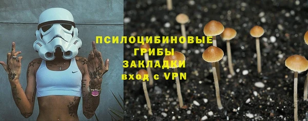 спиды Алзамай
